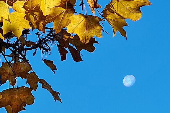 20211025_herbst7.jpg 