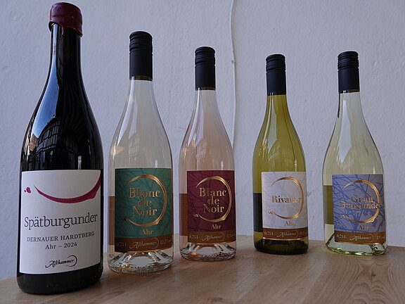 20260501_weingut2.jpg 