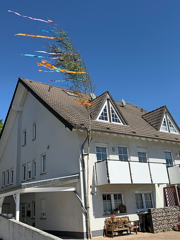 20260501_maibaum1.jpg 