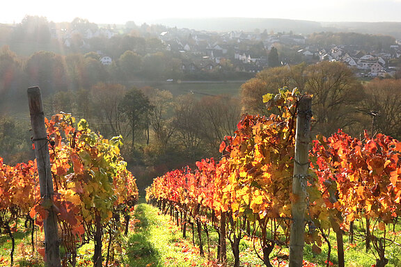 20211025_herbst1.jpg 