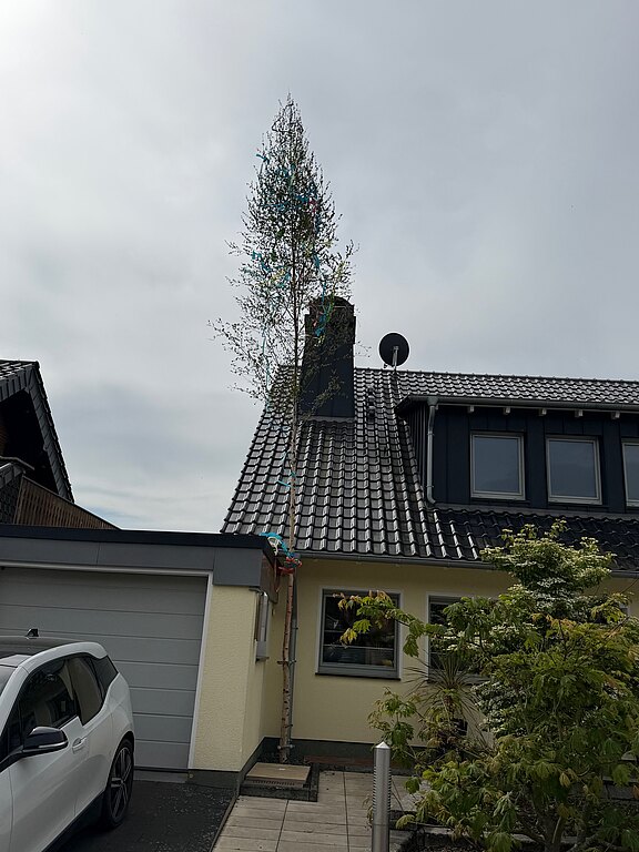 20260503_maibaum.jpeg 
