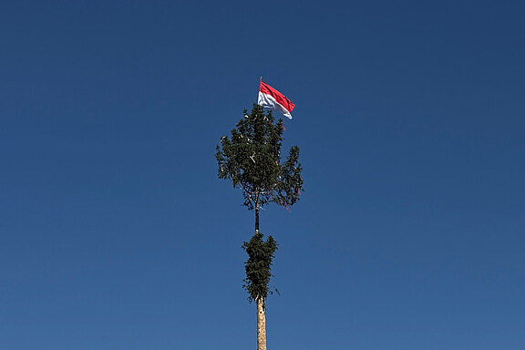 20260501_maibaum.jpg 