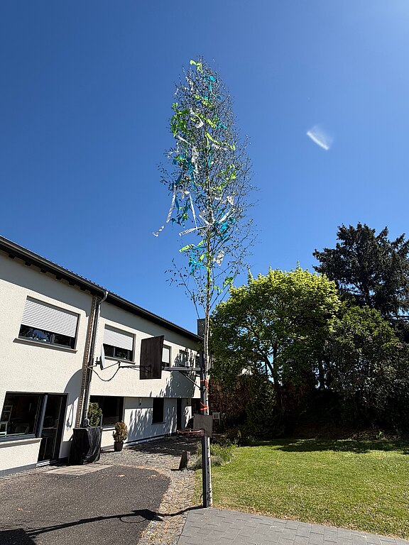 20260501_maibaum0.jpg 
