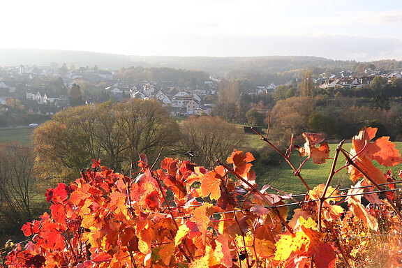 20211025_herbst2.jpg 