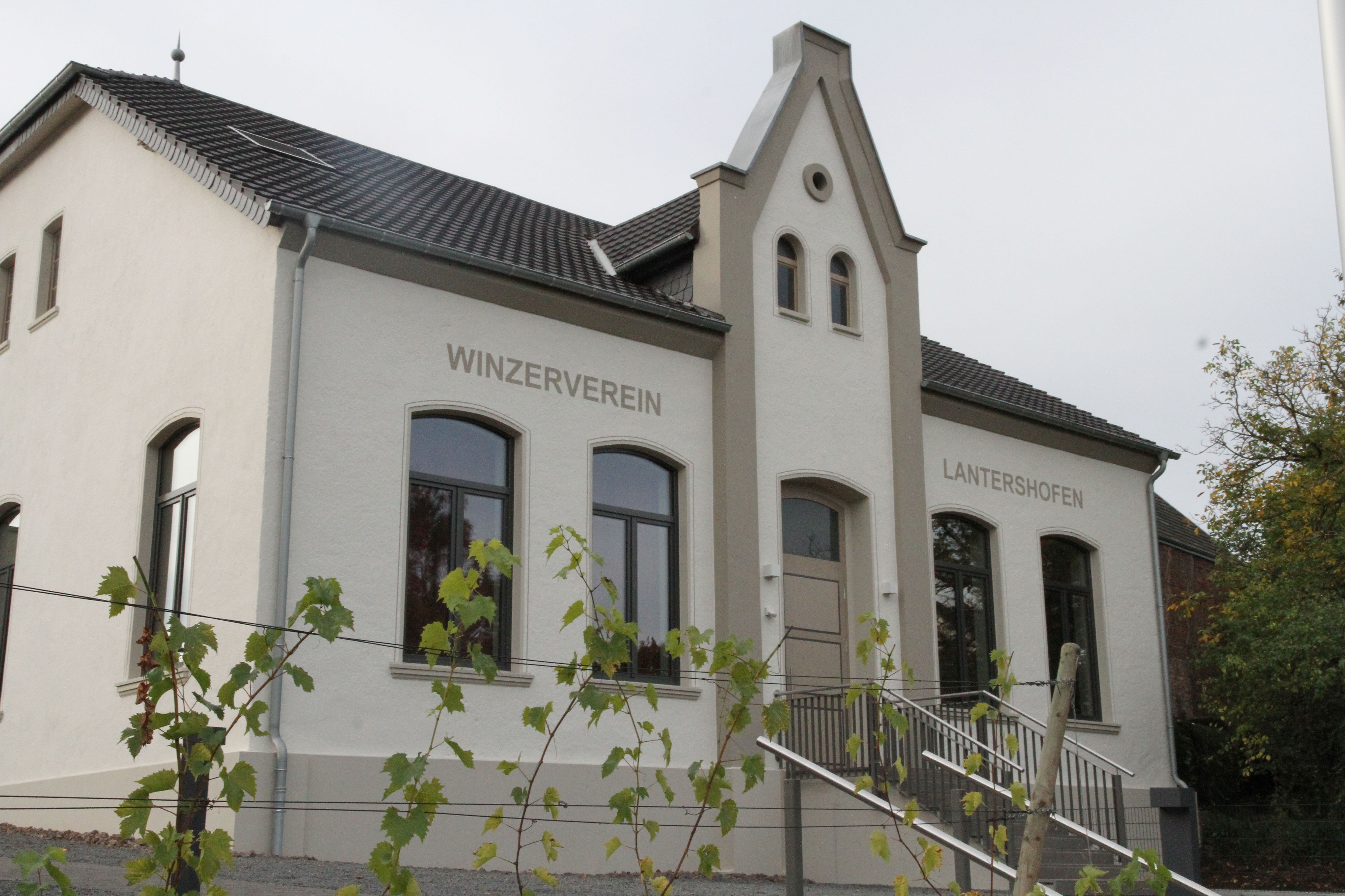 20180215_winzerverein.jpg 