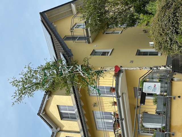 20240501_maibaum01.jpg 