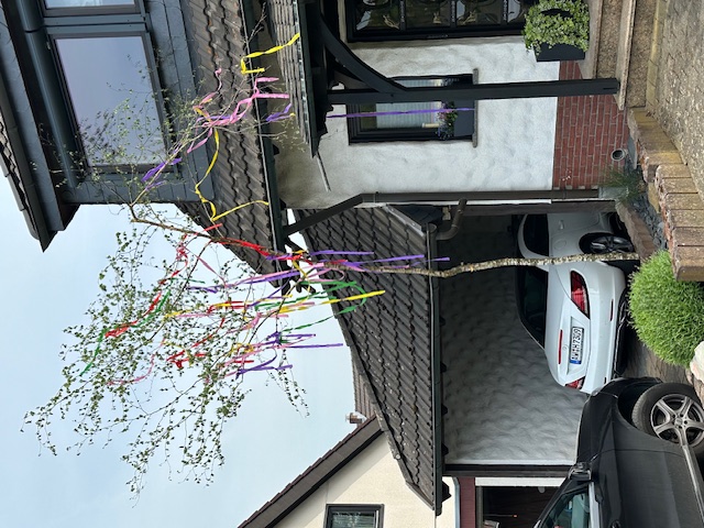 20240501_maibaum06.jpg 