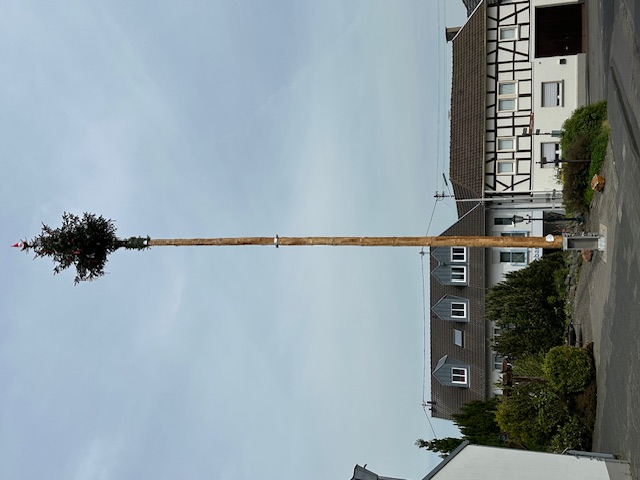 20240501_maibaum07.jpg 