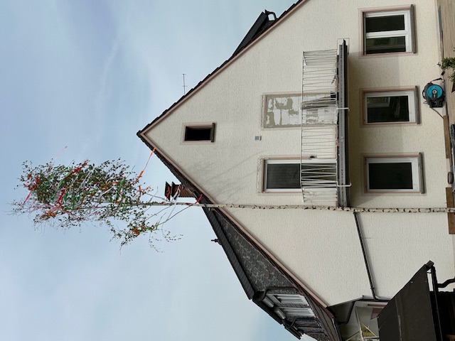 20240501_maibaum11.jpg 