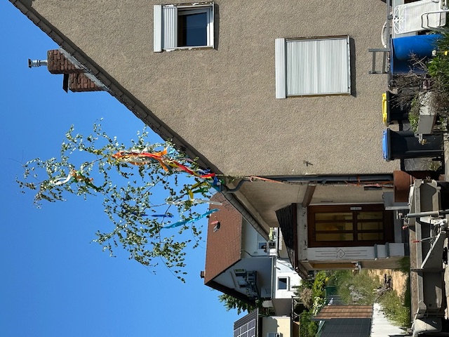 20250501_maibaeume4.jpg 